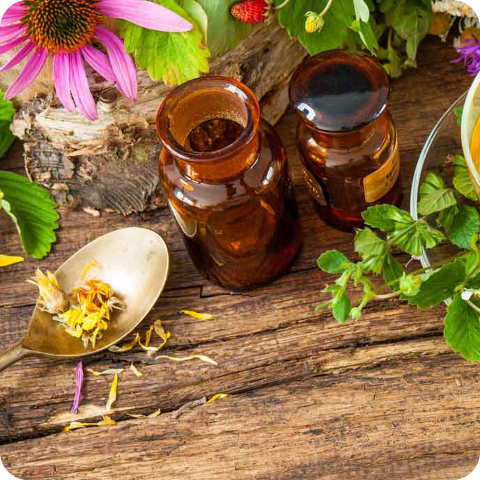 Phytotherapie – Pflanzenheilkunde zwischen Tradition und Wissenschaft