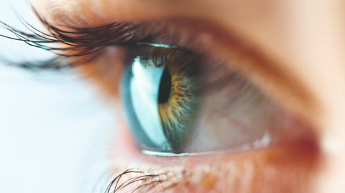 Nahaufnahme eines menschlichen Auges – Symbolbild Augen-Check