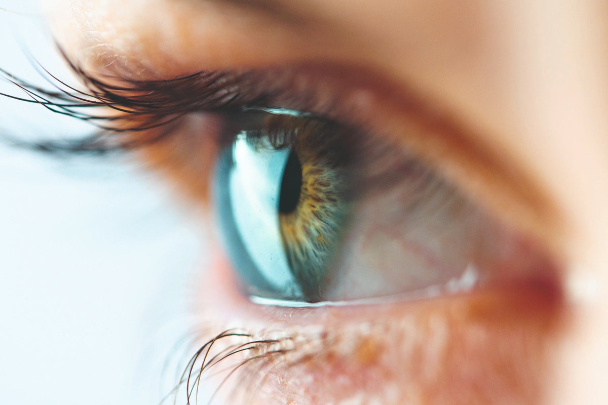 Augen-Check