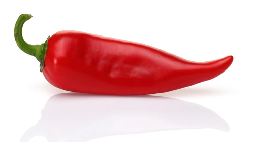 Rote Chilischote für den Artikel Antibiotika der Natur