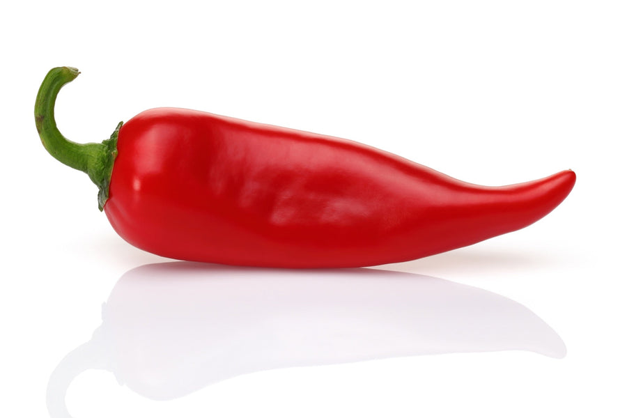 Rote Chilischote für den Artikel Antibiotika der Natur