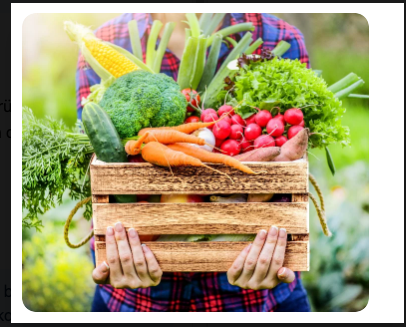 Ernährung für ein starkes Immunsystem