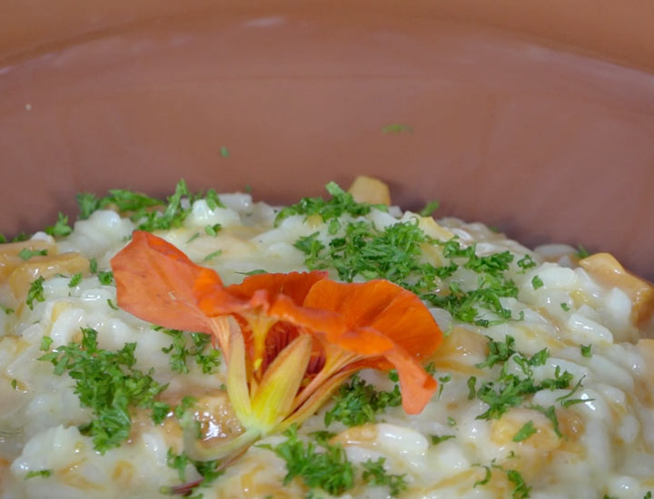 Cremiges Kürbis-Risotto