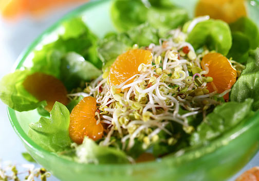 Power Salat mit Joghurt natur