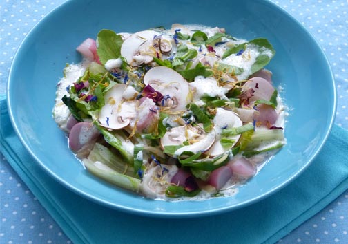 Radieschen- und Lattich-Salat mit Mandelcreme
