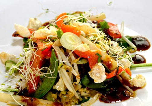 Sommersalat mit Trutenstreifen, Papaya und Radieschensprossen