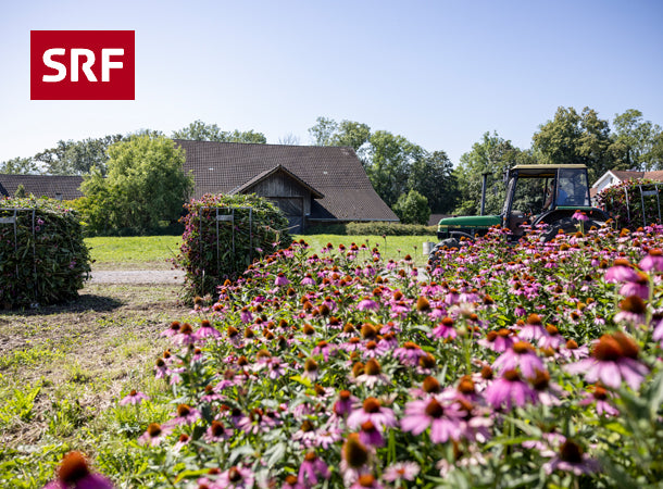 SRF Musikwelle: „100 Jahre Naturheilkunde-Pionier A. Vogel“