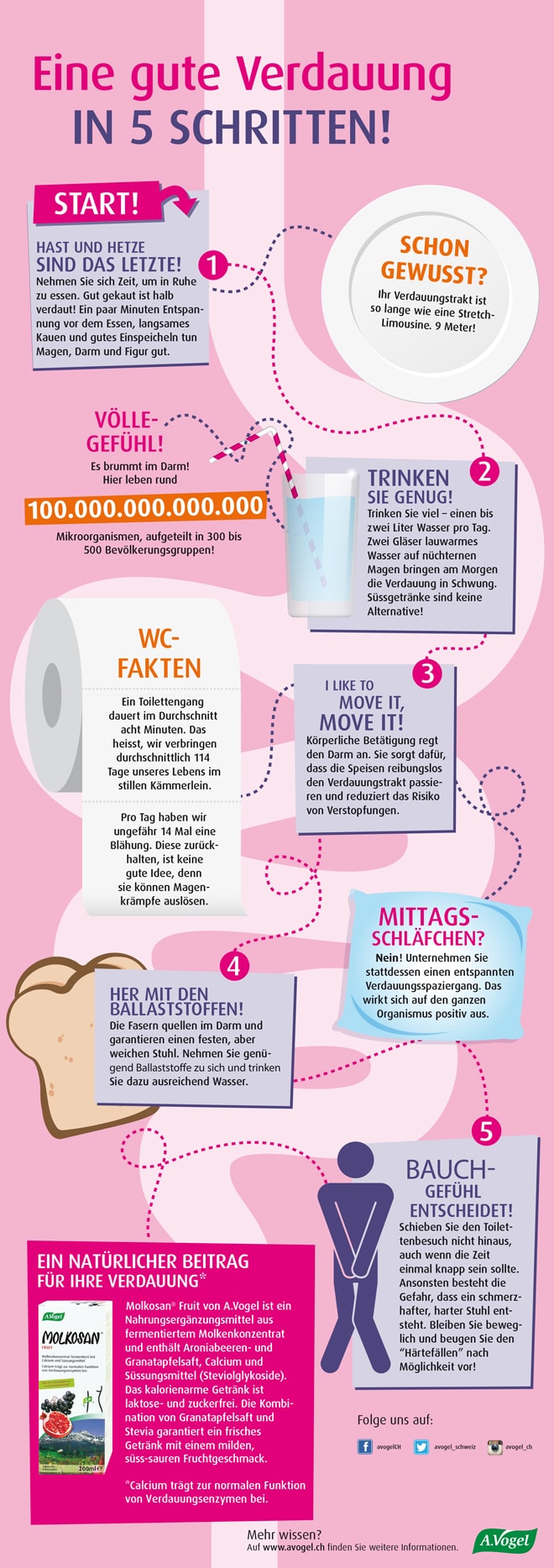 Verdauung: die besten Pflanzen-Tipps