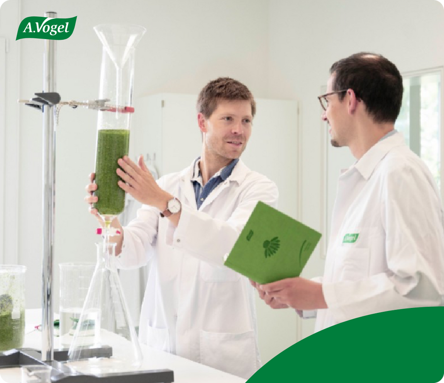 Wissenschaft