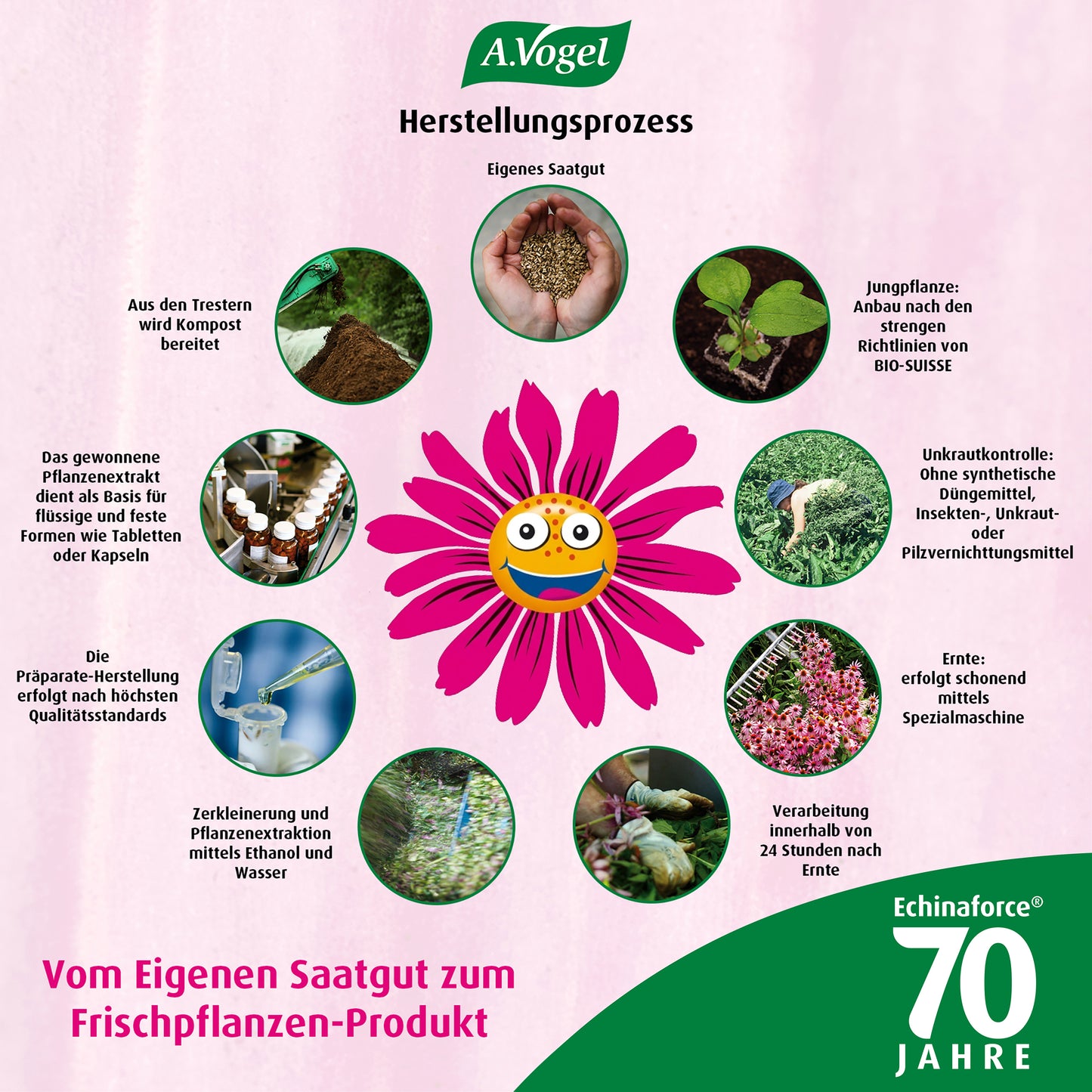 A.Vogel Echinaforce® Tabletten (Junior-Formulierung)
