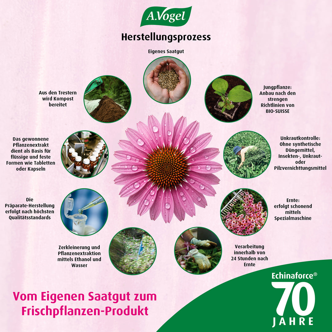 A.Vogel Echinaforce® Tropfen, 50 ml oder 100 ml