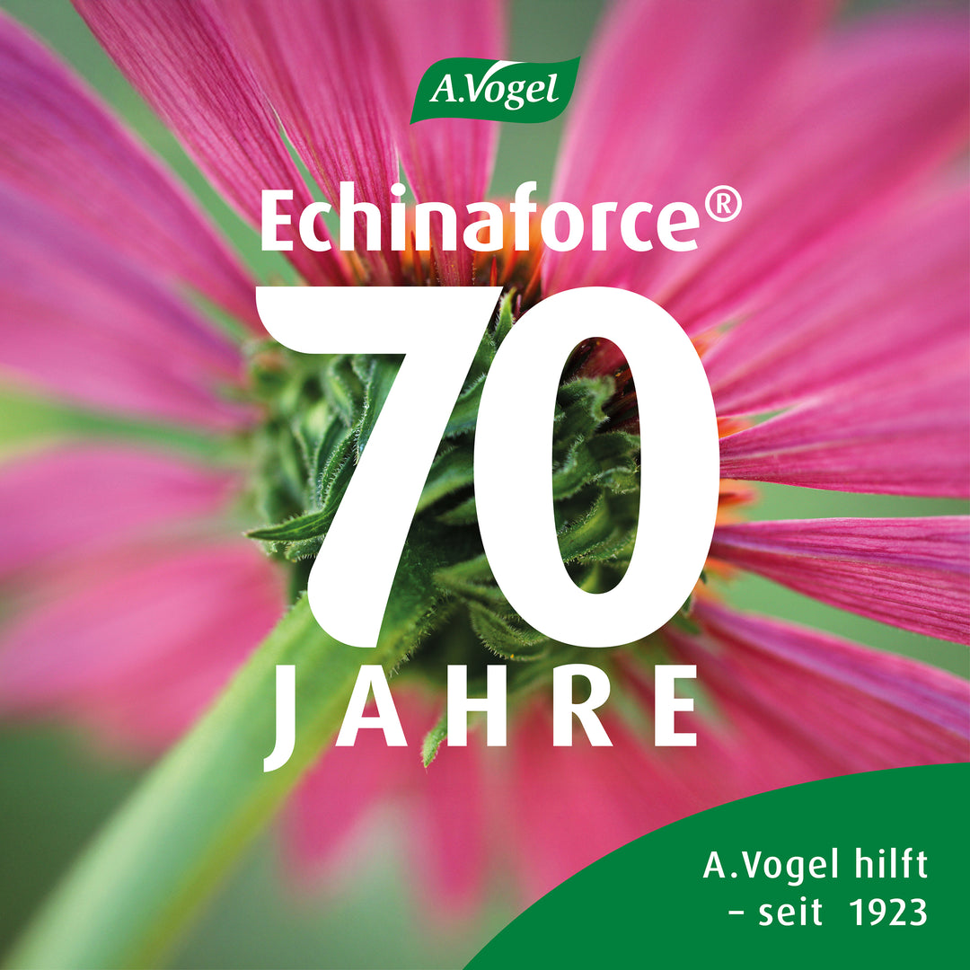 A.Vogel Echinaforce® Tropfen, 50 ml oder 100 ml
