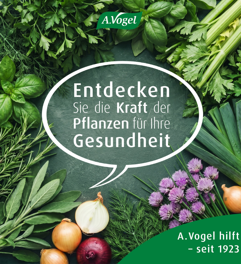 A.Vogel Herbamare® Original-Kräutersalz, BIO