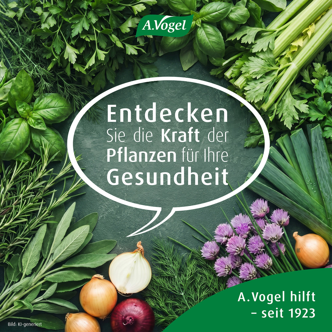 A.Vogel Herbamare® Kräutersalz Spicy, BIO – Produktinformation 7
