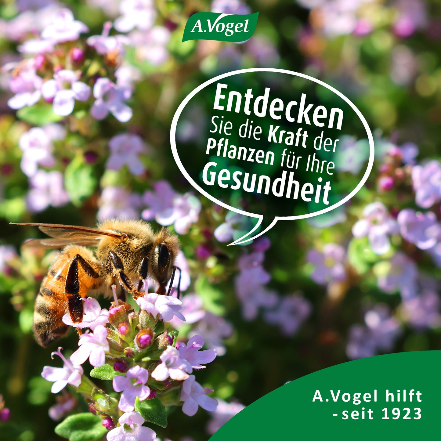 A.Vogel Herbamare® Salzersatz, BIO, 125 g