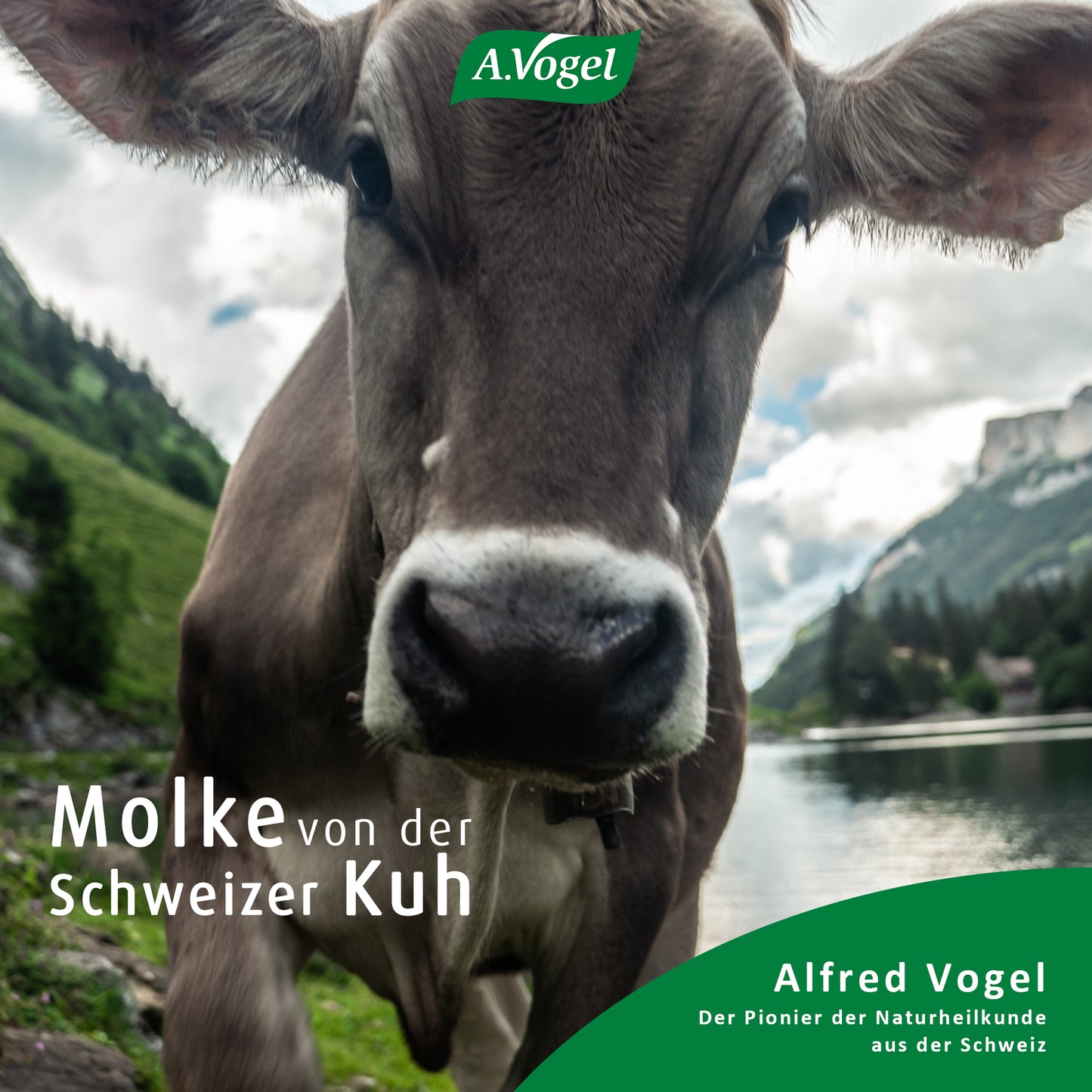 A.Vogel Molkosan® Original, 500 ml
