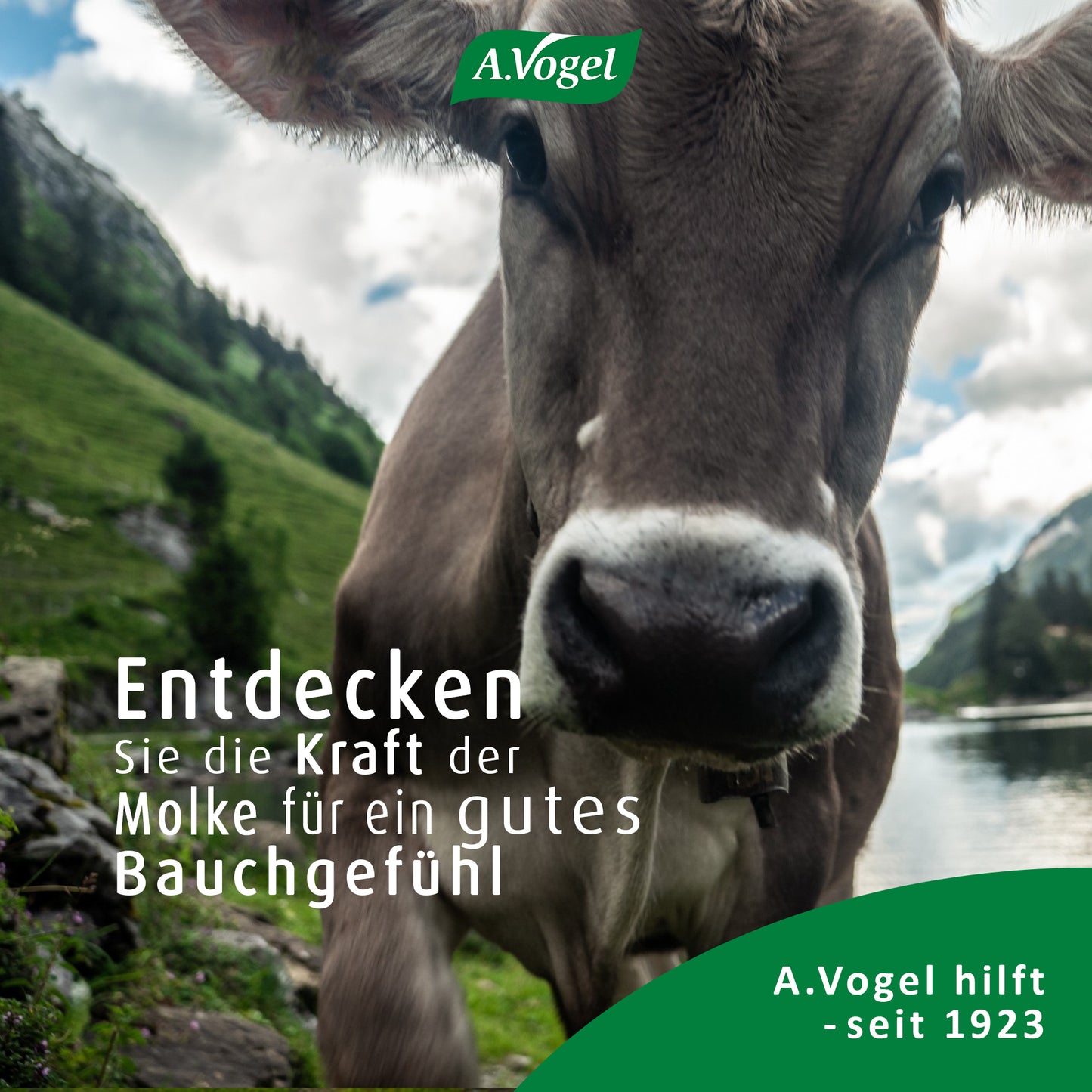A.Vogel Molkosan® Original, 500 ml