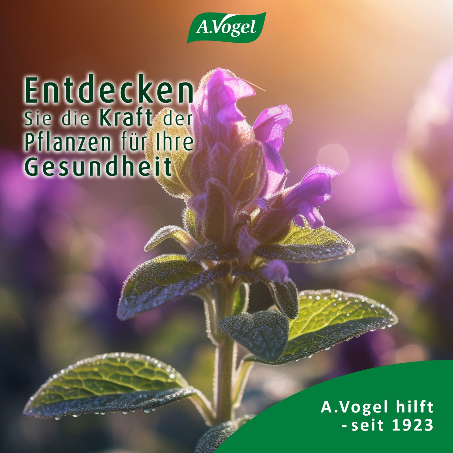 A.Vogel Menosan Salvia Tabletten, 30 Stück