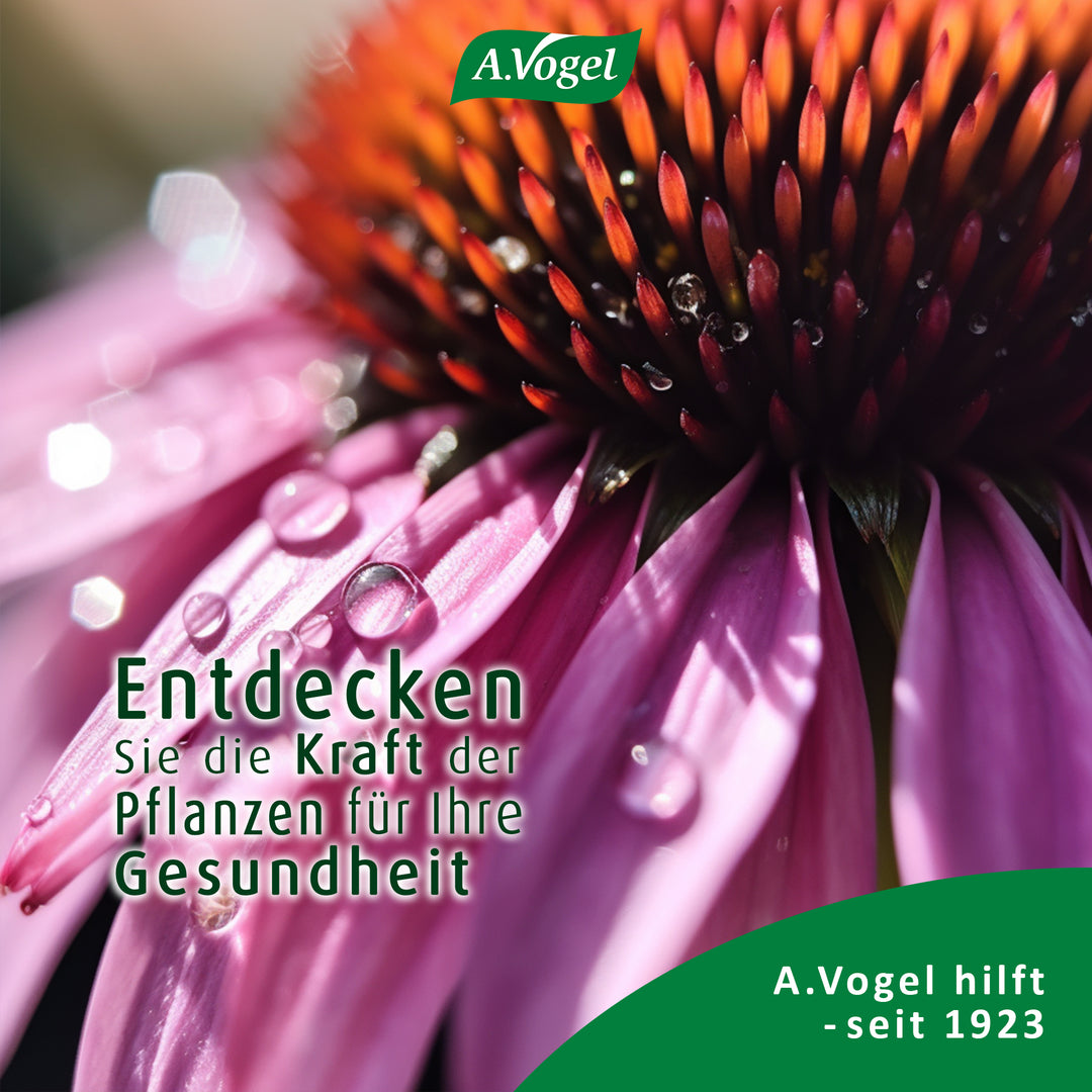A.Vogel Echinaforce® Forte Immune Tabletten, 30 Tabletten
