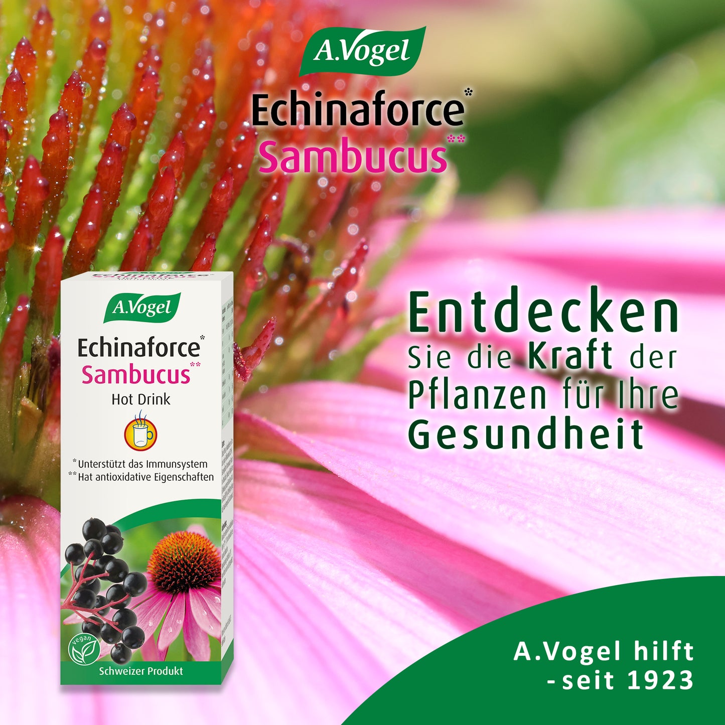 A.Vogel Echinaforce Sambucus  Hot Drink, 100 ml