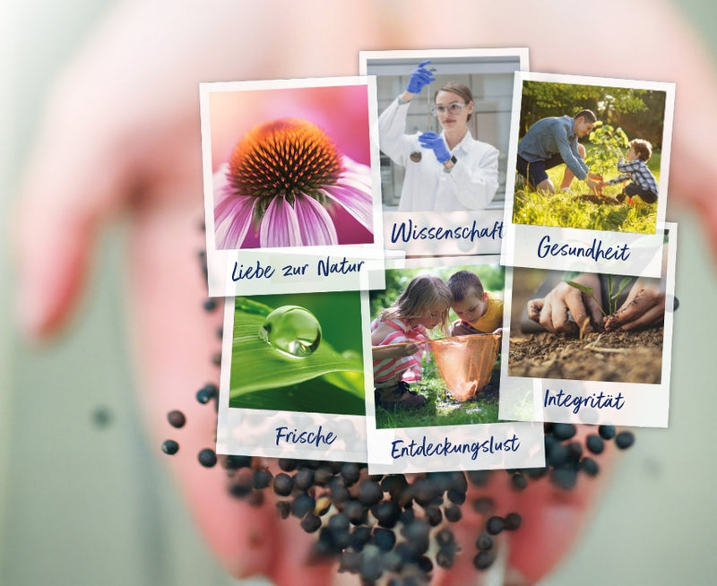 A.Vogel Werte – Liebe zur Natur und Gesundheit