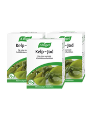 3 x 120 Tabletten