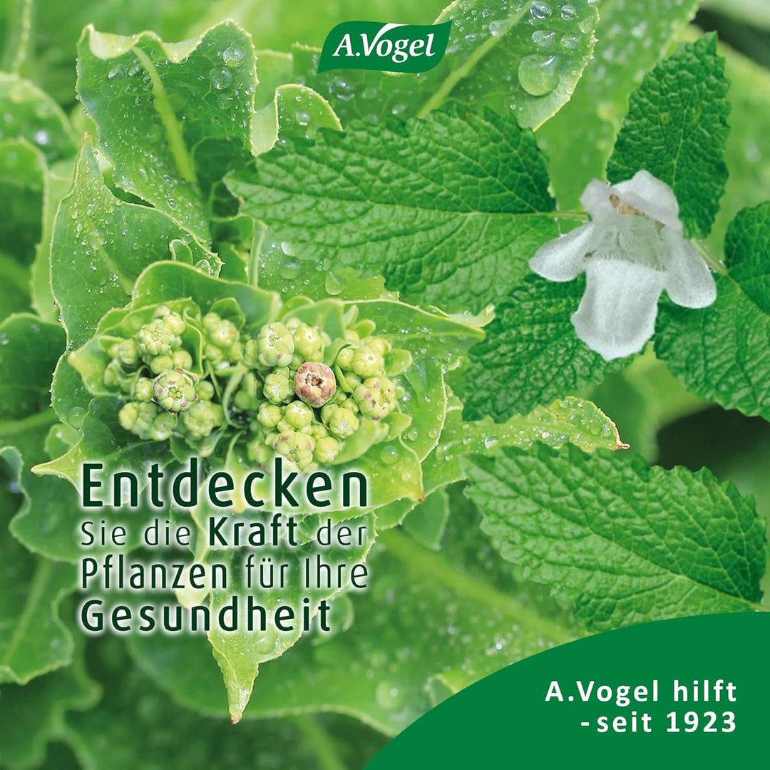 A.Vogel Nacht-Complex, 14 Sticks
