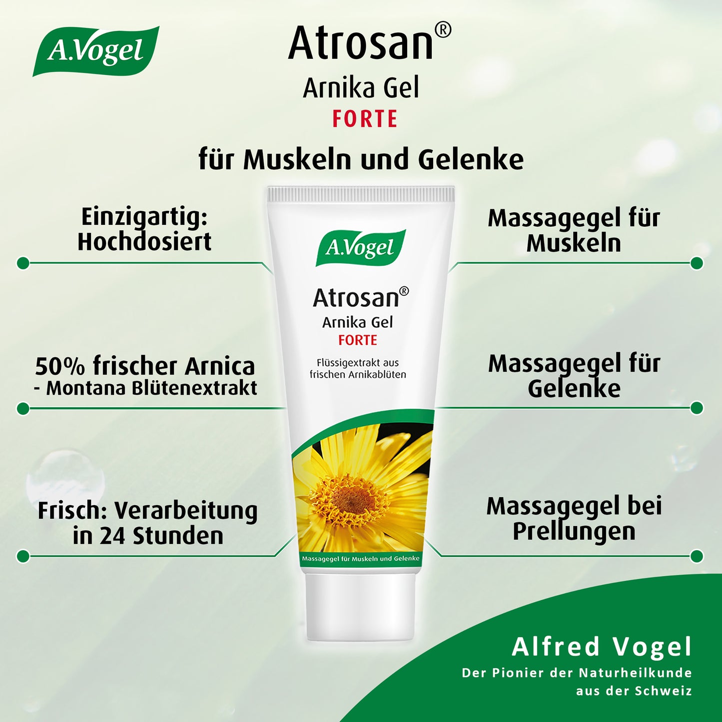 A.Vogel Atrosan Arnika-Gel FORTE