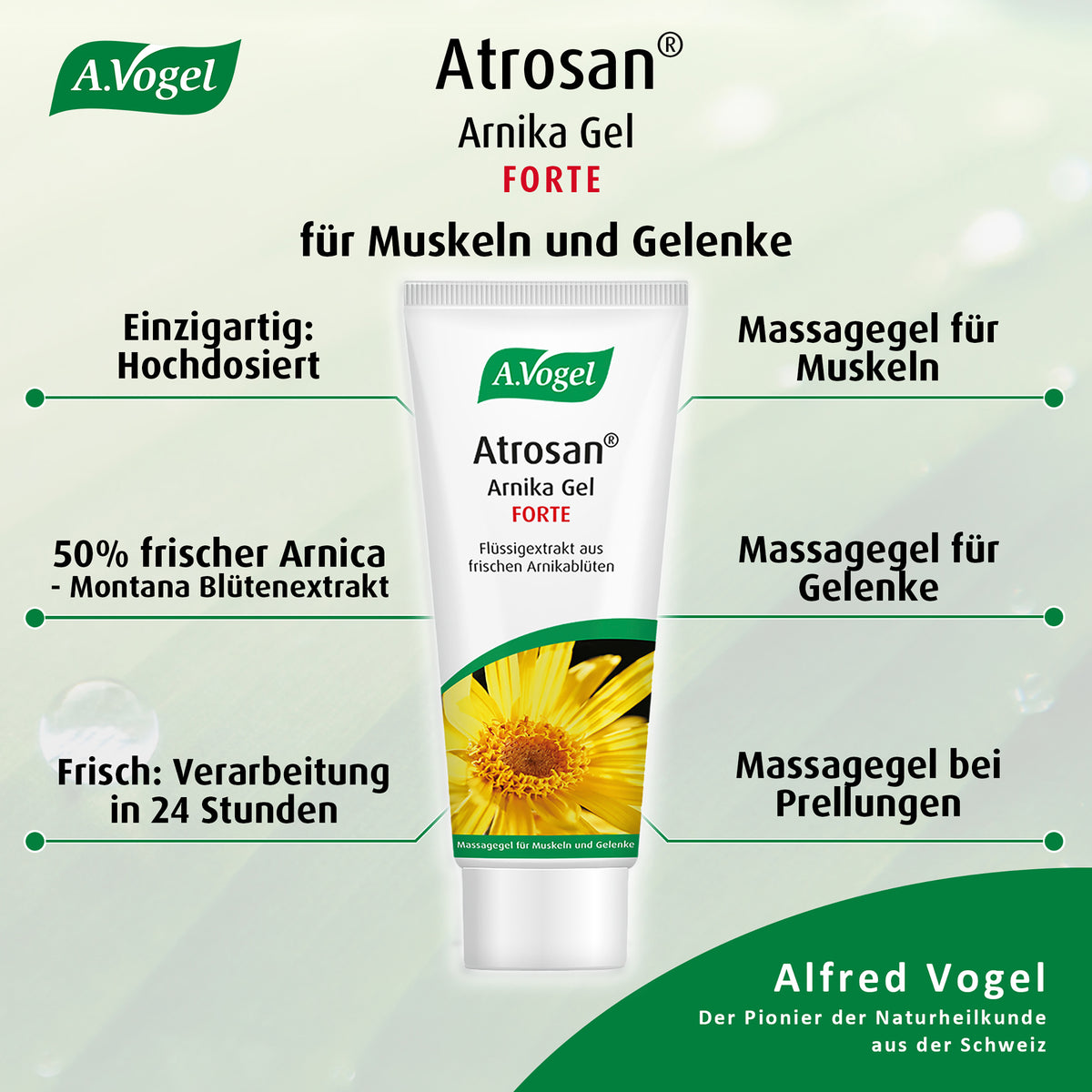 A.Vogel Atrosan Arnika-Gel FORTE – Produktinformation 5