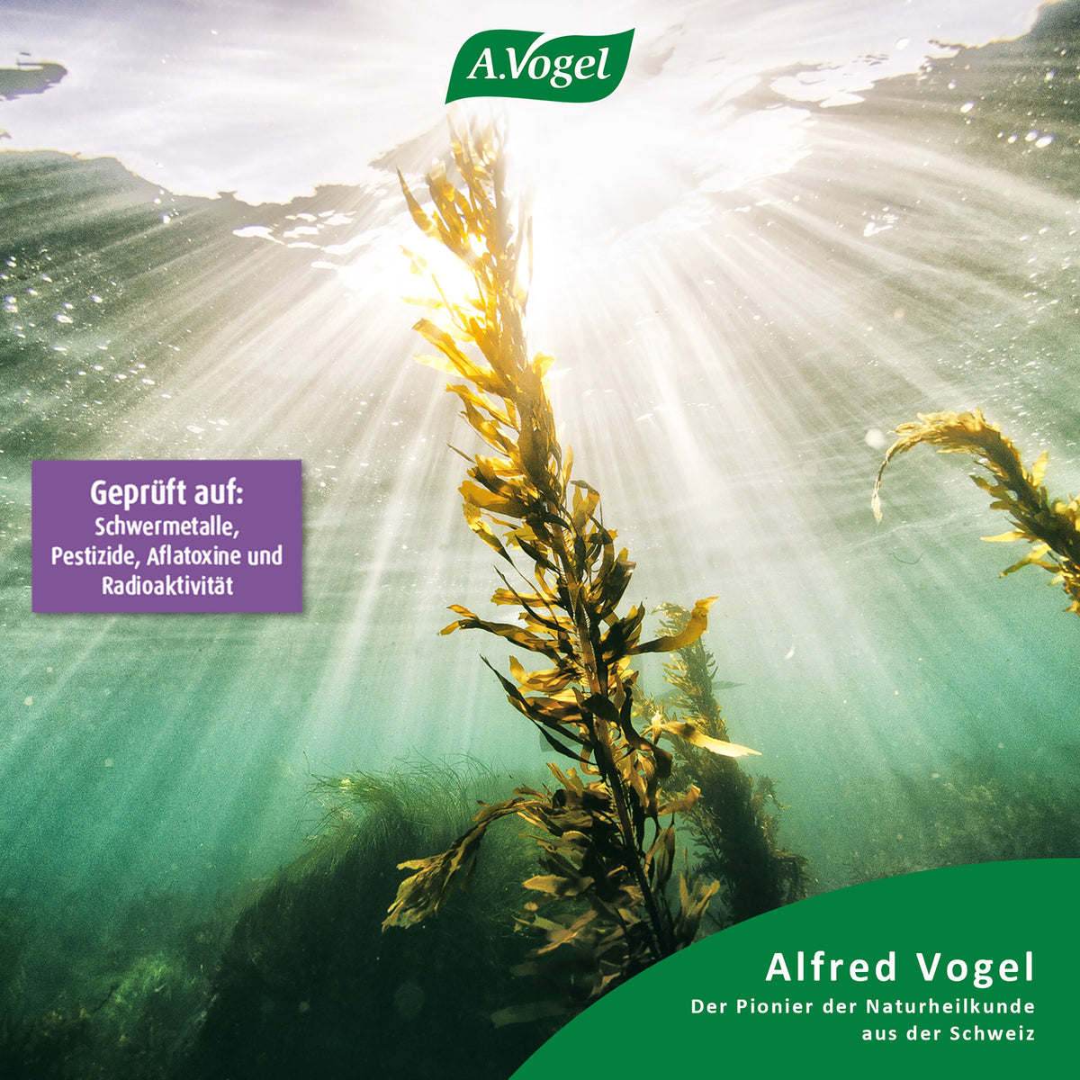 A.Vogel Kelp-Jod Meeresalgen Tabletten – Produktinformation 2