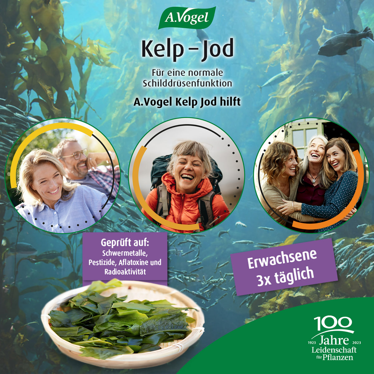 A.Vogel Kelp-Jod Meeresalgen Tabletten – Produktinformation 3