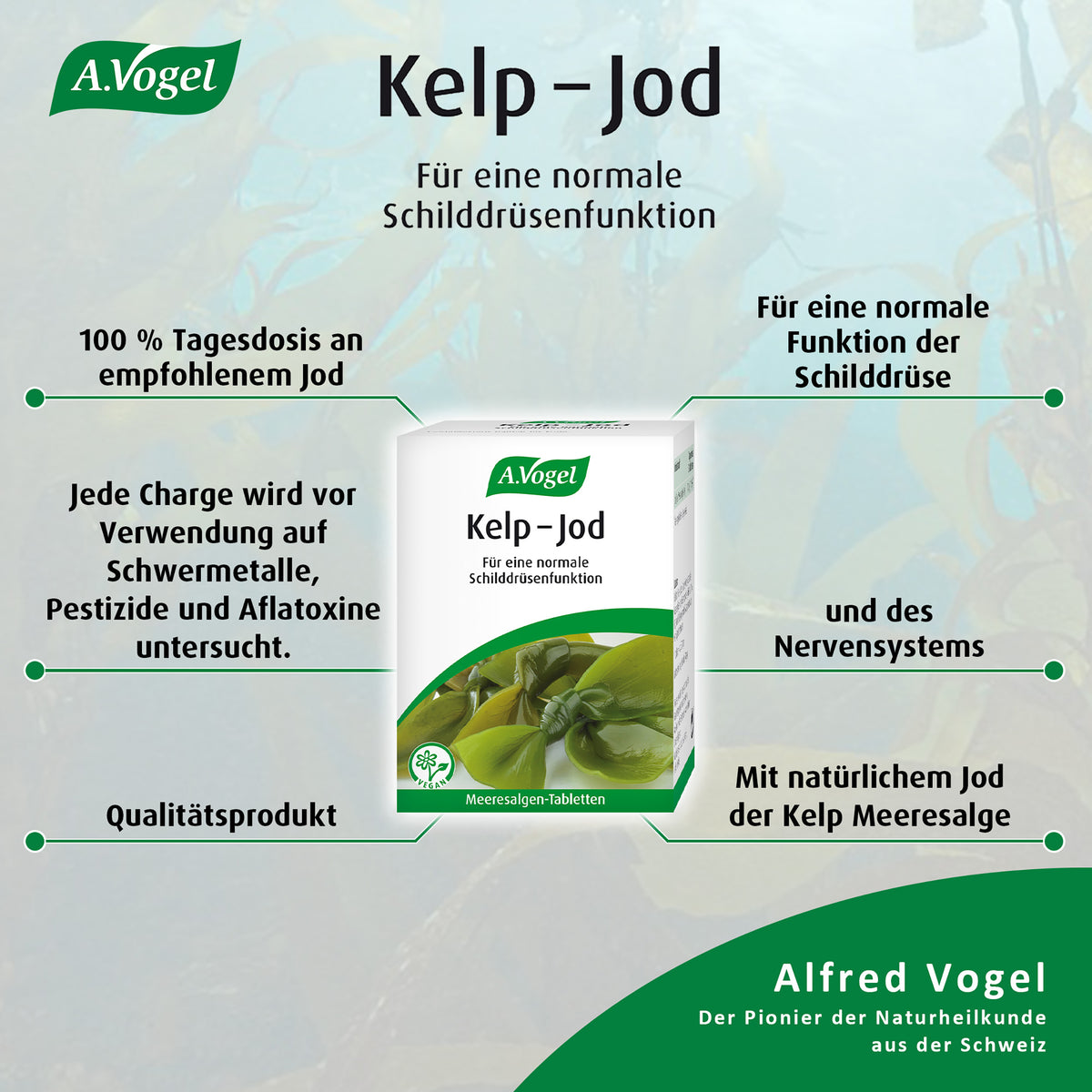 A.Vogel Kelp-Jod Meeresalgen Tabletten – Produktinformation 5