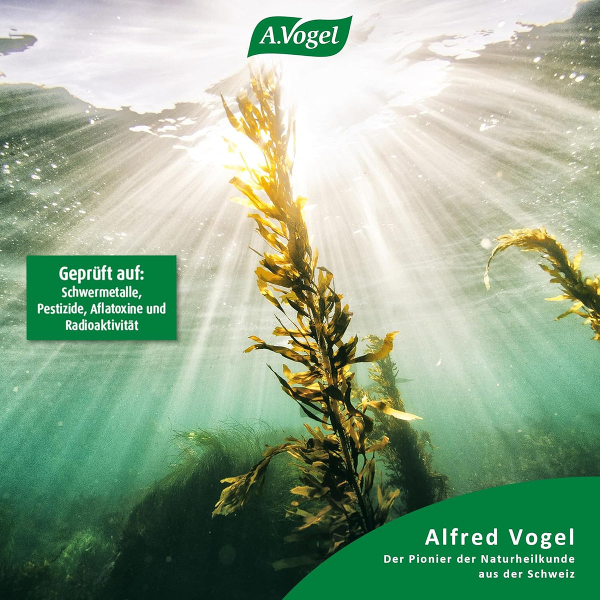 A.Vogel Kelpamare Pflanzliche Universal-Würzsauce – Produktansicht 4