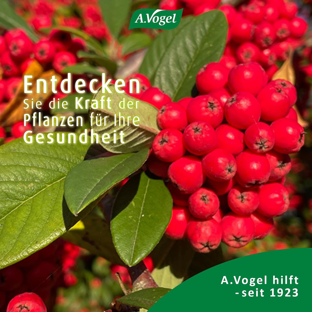 A.Vogel Nature-C – Produktansicht 8