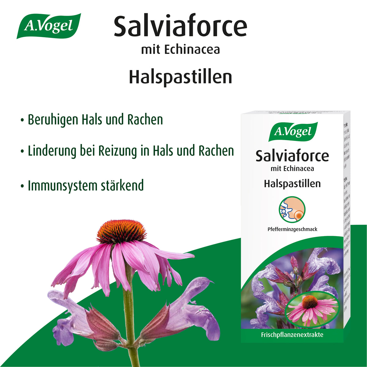 A.Vogel Salviaforce mit Echinacea Halspastillen – Produktinformation 1