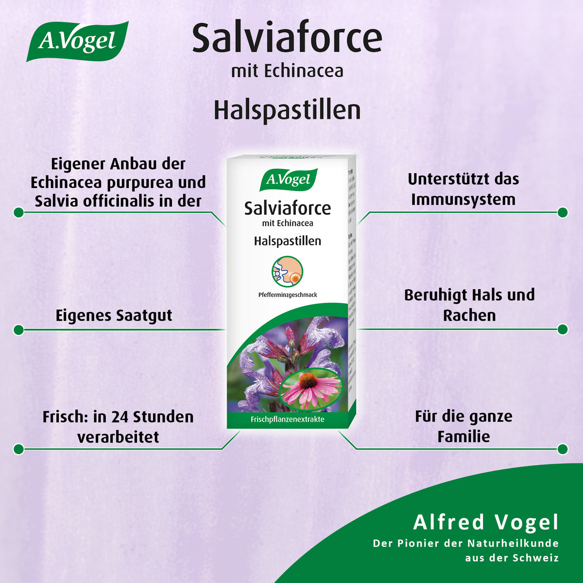 A.Vogel Salviaforce mit Echinacea Halspastillen – Produktinformation 6