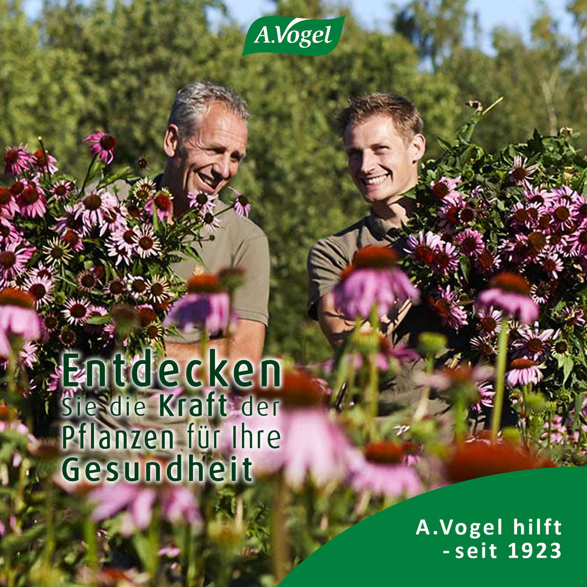 A.Vogel Salviaforce mit Echinacea Halspastillen – Produktinformation 8