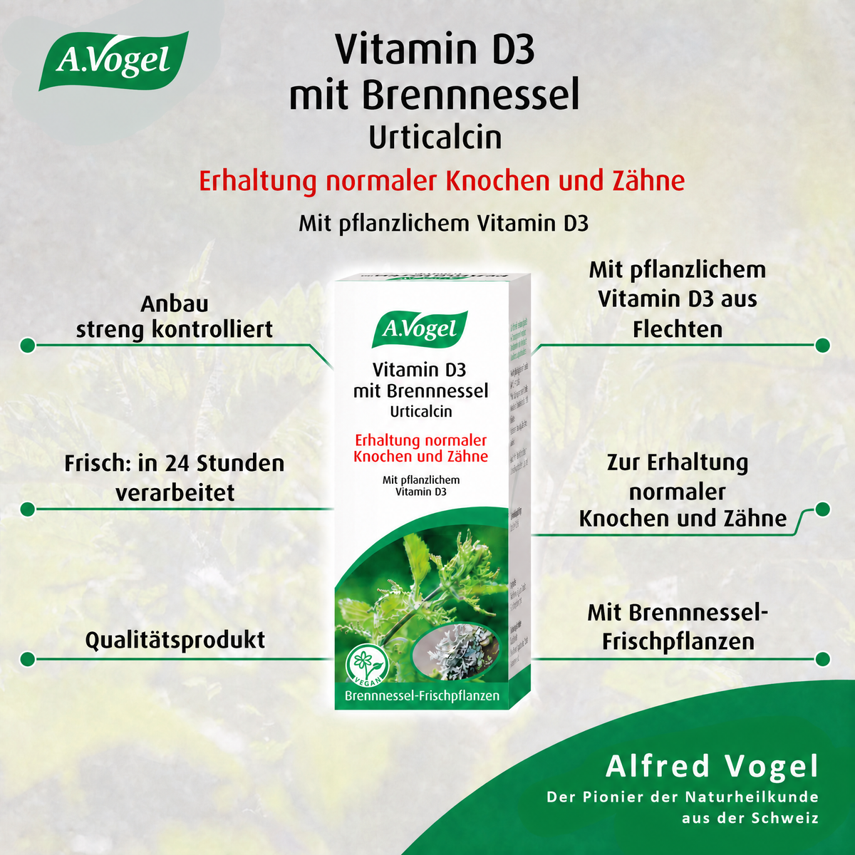 A.Vogel Vitamin D3 mit Brennnessel Urticalcin – Produktinformation 5