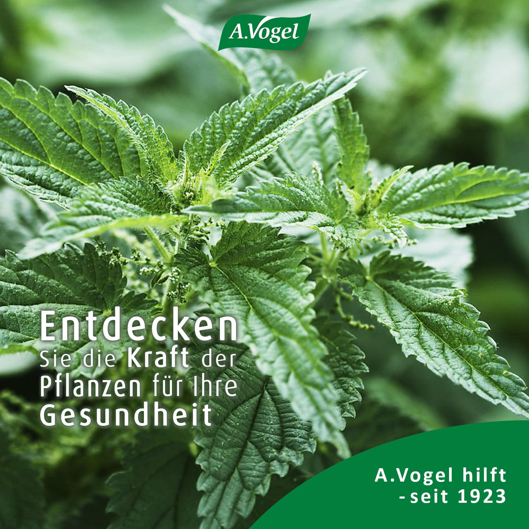 A.Vogel Vitamin D3 mit Brennnessel Urticalcin – Produktinformation 7