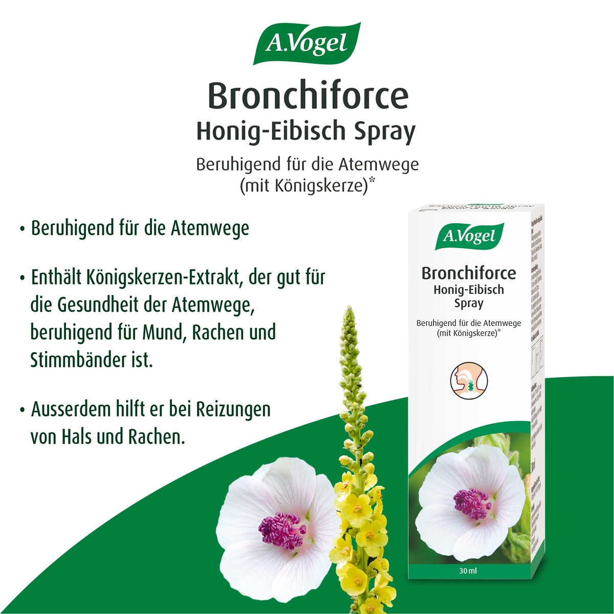 A.Vogel Brochiforce Honig-Eibisch Spray – Produktvorteile und Packung