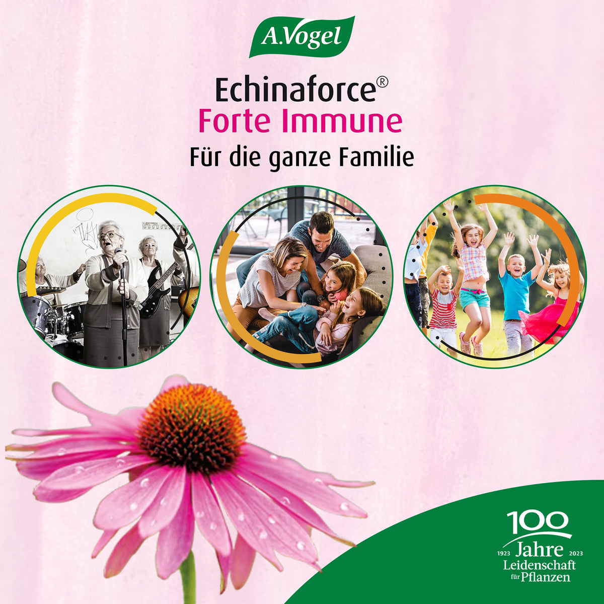 A.Vogel Echinaforce Forte Immune für die ganze Familie