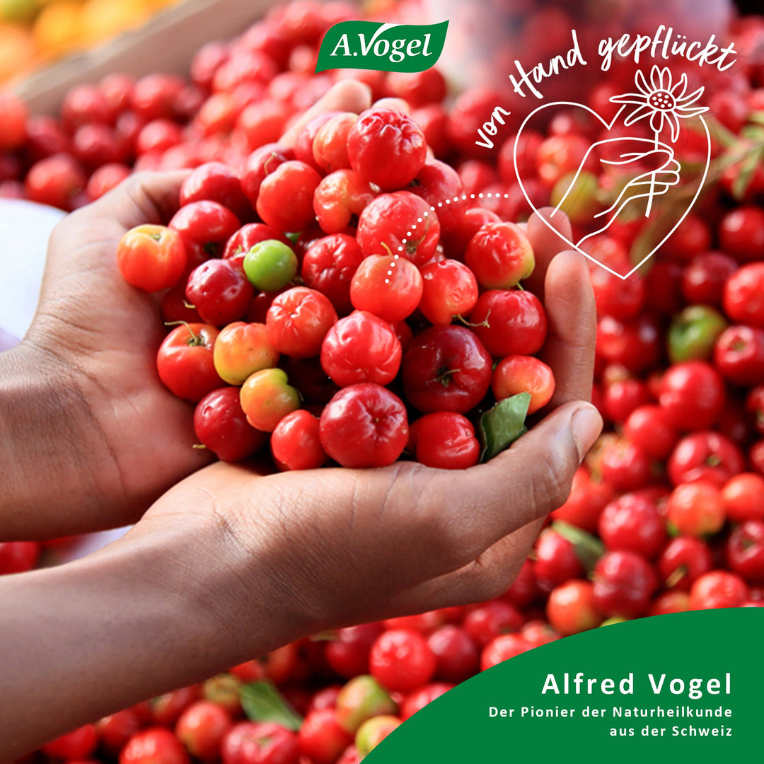 Acerola-Beeren für A.Vogel Nature-C